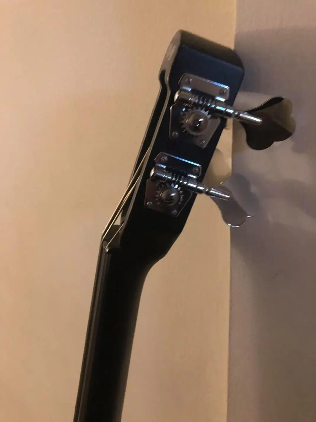 Stagg Electric Double Bass Violin Brown eBay