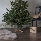 Foto 3 di 5