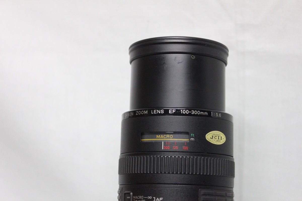 Canon EF 100-300mm F5.6 Telephoto Zoom Macro Lens | eBay