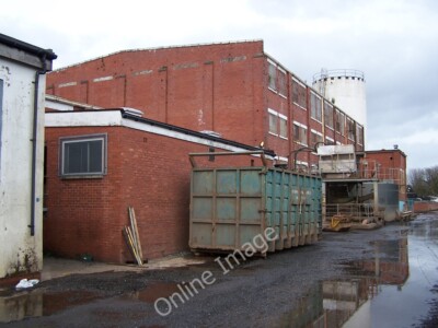 Foto 6x4 BPI Polyethylen Dumfries Dies ist die Rückseite der Pflanze, die ein c2010 ist