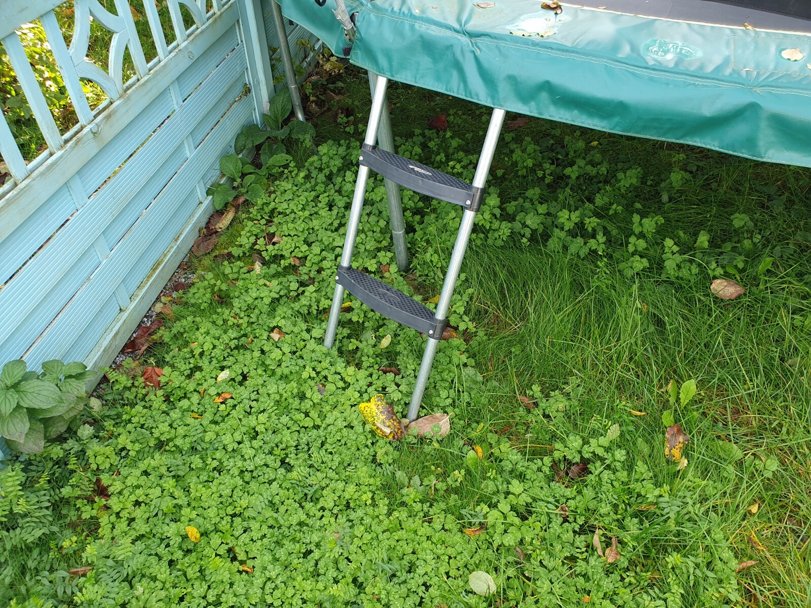 SPORTS Federloses Trampolin Bungee Safety Elite 366 cm eBay