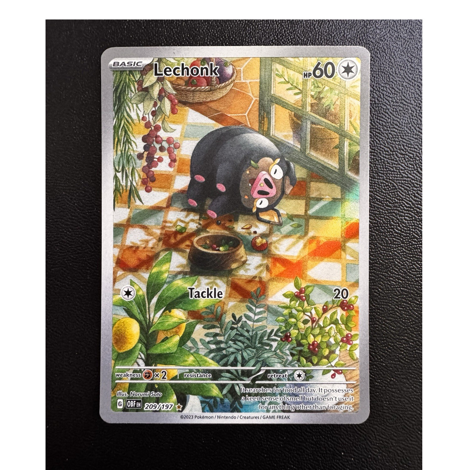 Pokemon Lechonk 209/197 SV03 Obsidian Flames Illustration Rare Holo EN 60 HP