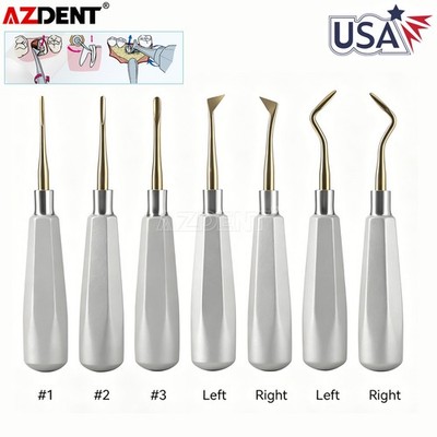 Elevadores extracción de raíces dentales Instrumento quirúrgico con cabeza de or