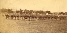 Civil War Stereoview: Field Day 37th New York Regiment E & H T  Anthony - c 1865