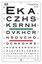 snellen visual acuity eye chart for 10 feet ebay