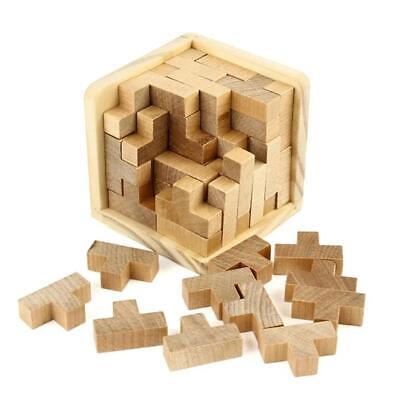 Agate 3d Wooden Puzzle Toys Board Games Brain Teaser Irregular