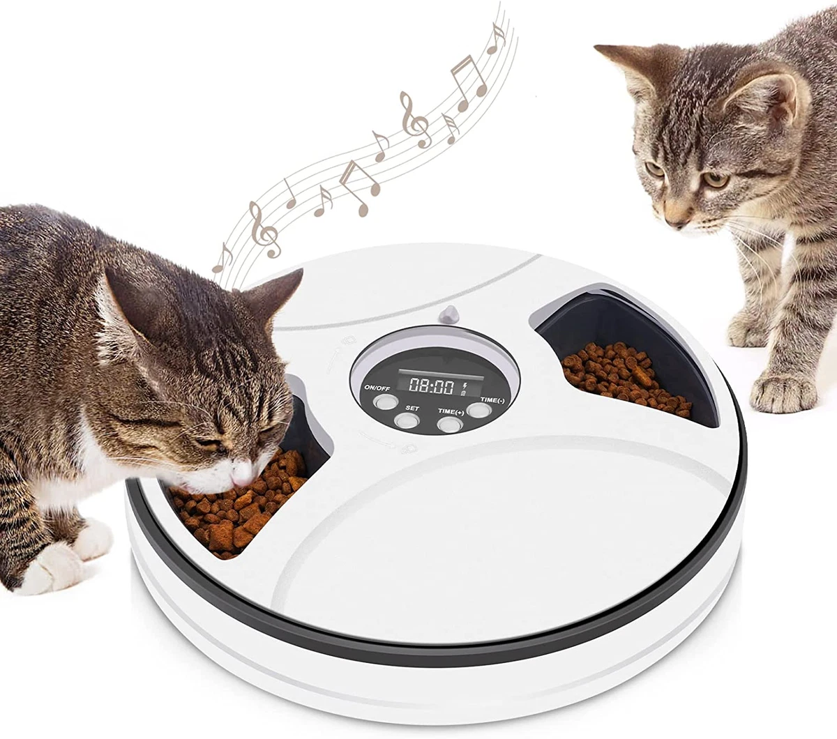 Automatic cat top feeder multiple cats