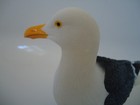Bild 5 von 6