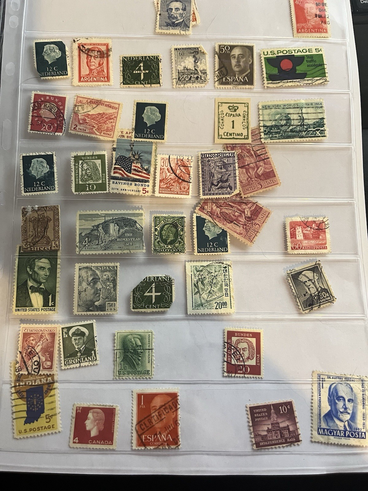 Picture 5 of 24