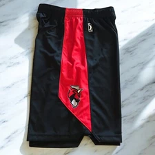 Nike Windy City Chicago Bulls G League Player Issued Authentic Shorts  Large LT