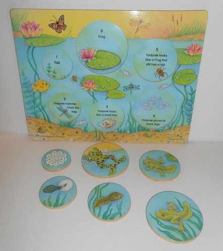 Judi Instructo Wooden Playtime Puzzle Tadpole to Frog - Picture 4 of 4