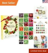 Garden Pack 20 Vegetable Seeds Varieties – High Yield Garden Seeds for Planting