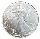 2025 American Silver Eagle 1oz Silver Coin