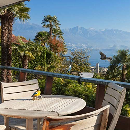 Bird Feeders Deck Bird Feeder Bird Bath Deck Bowl Spa and Seeds bronze-1pk