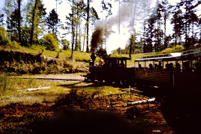 AUG 1965 Portland Zoo Railway Train Oregon  Slide CQ-D