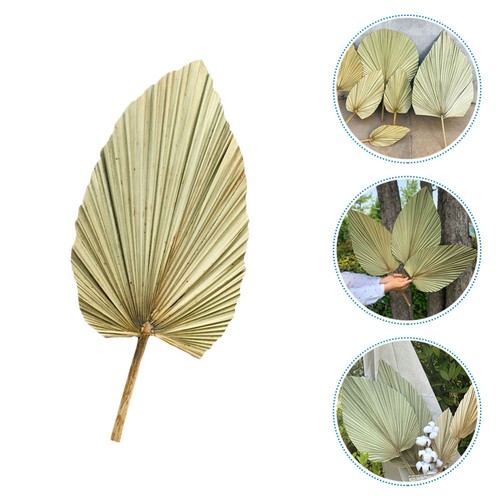 Dried Palm Fans Woven Fan Bridal Bouquet Handheld Cooling Fan - Picture 7 of 21