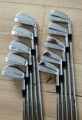 Team Daiwa DG201 Iron Set 1-10 (PW) 10 Irons! | eBay