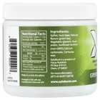 Xylitol Gum, Green Tea, 100 Pieces, 5.29 oz (150 g)