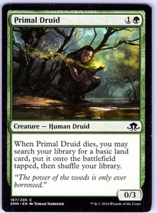Primal Druid 167/205 Eldritch Moon Common MTG