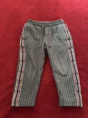 Gefütterte Jogginghose Gesteift Alive Gr. 92 Grau