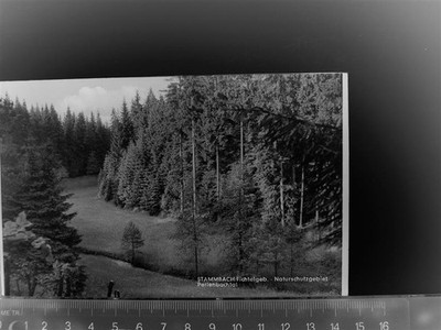 30086621 - 8664 Stammbach nature reserve Perlebachtal farm LKR