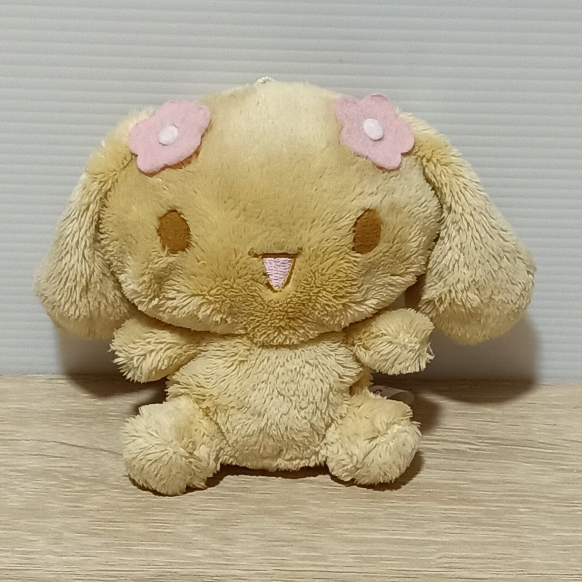 Sanrio Cinnamoroll Mocha Soft Fluffy Small 4