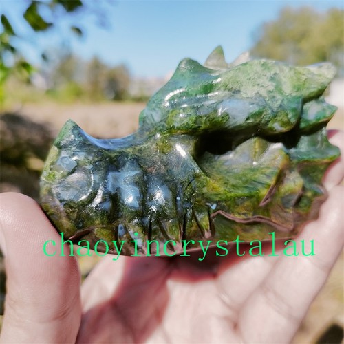 1pc Natural Aquatic Agate Dragon Skull Quartz Crystal 3.5" Skull Hand Carved Gem - Picture 10 of 12
