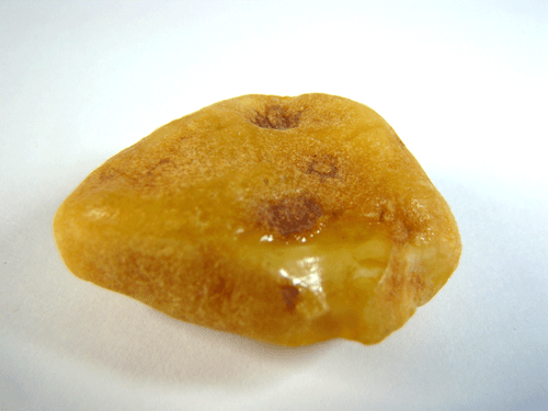 Natur Bernstein #2 Butterscotch 45 x 38mm Natural Baltic Amber 7,67g - Bild 3 von 5