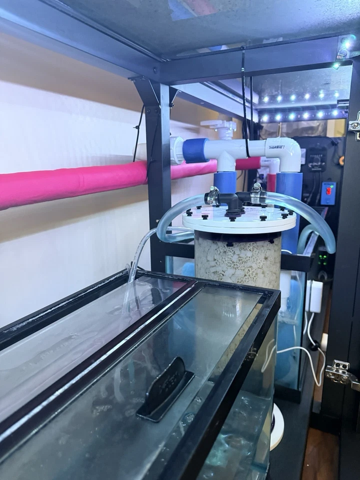 Complete 170 Gallon Aquarium Setup – Turnkey, Premium Gear & Livestock - Image 3 of 4