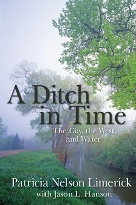 A Ditch in Time : The City, the West and Water Paperback