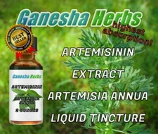  ARTEMISININ - Artemisia Annua  - Sweet Wormwood  Liquid Tincture 2 ounces 