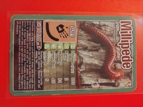2020 Top Trumps BUGS🐞 used (you pick) cards Free Shipping - Picture 20 of 31