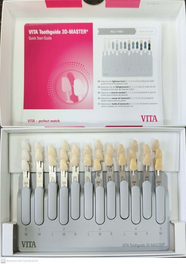 ORIGINAL VITA GERMANY 3D MASTER Dental Tooth ShadeGuide Natural 29