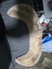 Vintage Silver Blue Natural Mink Authentic Fur Collar Upcycle Crafting Piece 