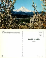 Mt Hood OR Bloosoms Growing Postcard Unused (37828)