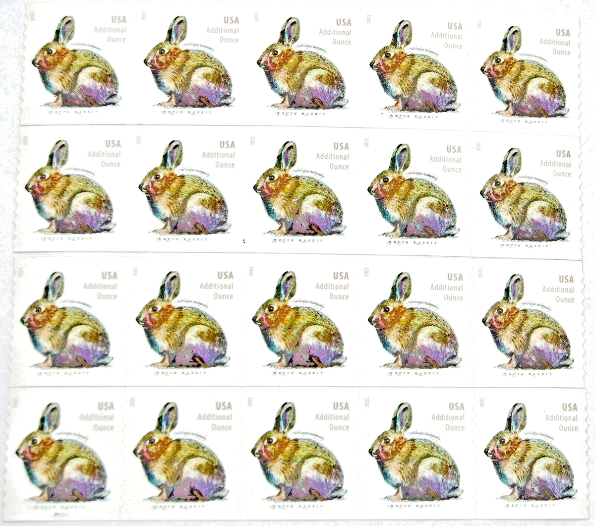 USPS Additional Ounce Stamps Brush Rabbit (20 stamps) cut from a