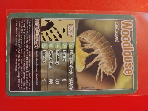 2020 Top Trumps BUGS🐞 used (you pick) cards Free Shipping - Picture 15 of 31