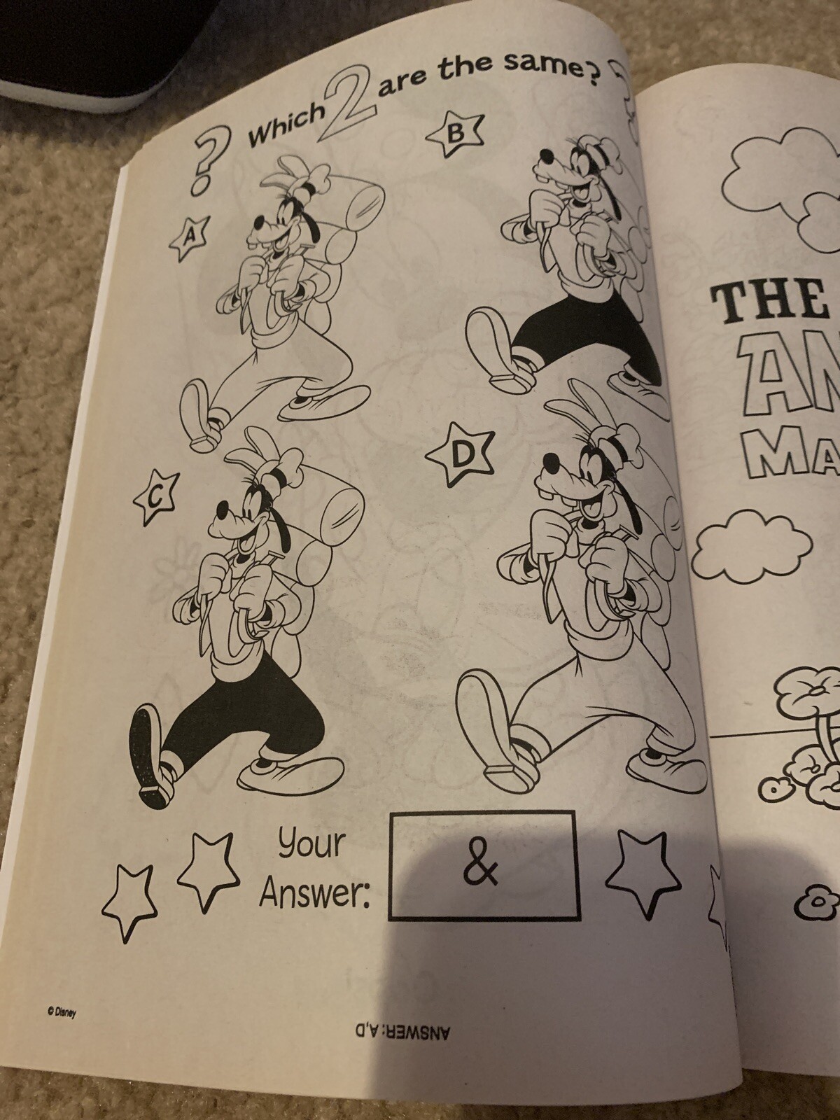 Picture 6 of 8