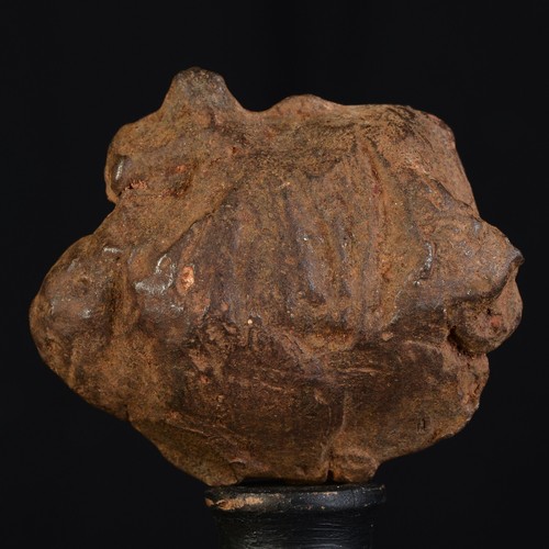 Gebel Kamil Meteorit 76,61g Siderit ungruppiert Ägypten Iron Ung. #D18.01-21 - Bild 4 von 9