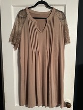 Nude Lace Sleeve Dress