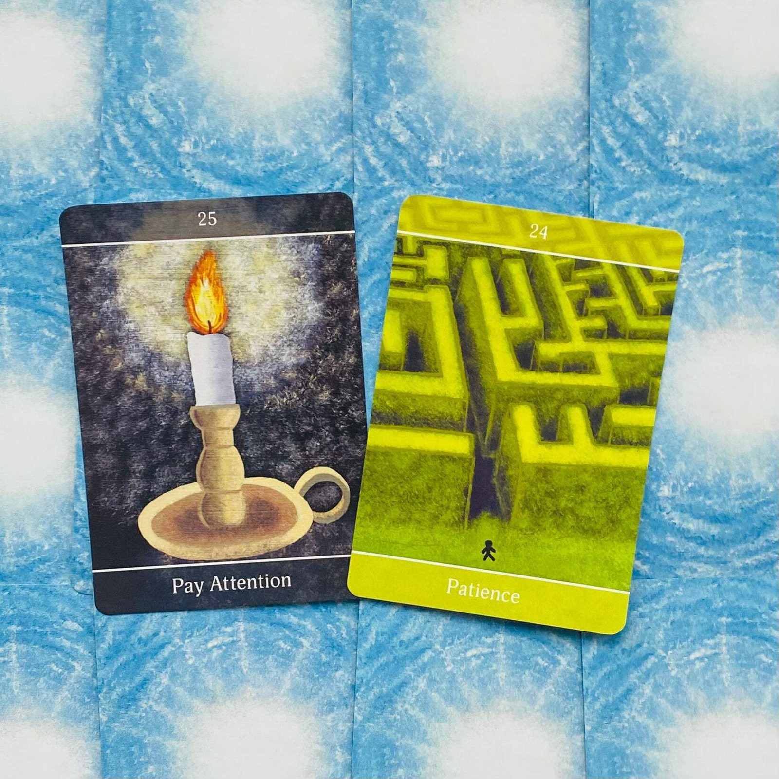 Beyond The Illusions Oracle Cards Deck Animal Dreaming By Timothy Nilsson NE