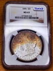 Toned Morgan Dollar