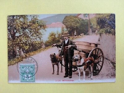 cpa Stempel INTERLAKEN ANHÄNGER HUNDE DOG TEAM MILCHKARREN Zusteller K. Achermann