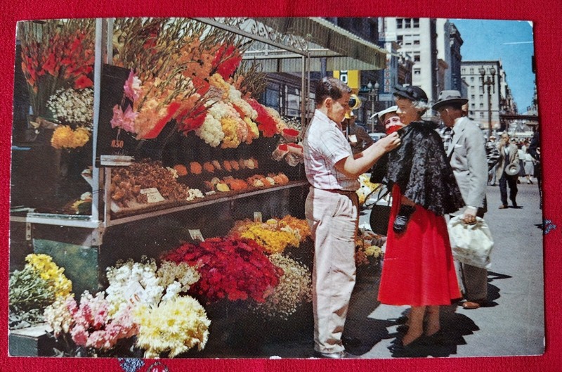 San Francisco Flower Vendors Postcard/ unposted perfect 3 ct Coast & Geodetic st
