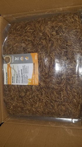 10Lb Adaman Dried Mealworms, High Protein Mealworms for Chickens, Hamster, Ducks - Picture 8 of 16