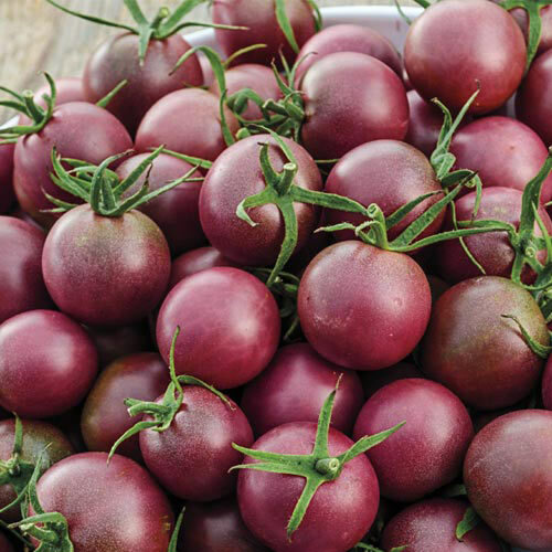 Black Cherry Tomato Seeds | Heirloom | Free Shipping | Seed Store | 1028