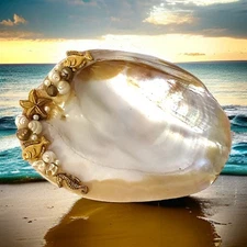 Mother Of Pearl Footed Trinket Dish Shell Soap Jewelry Abalone Embellished Pearl