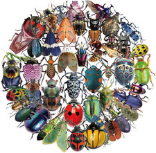 50 Realistic Insect Stickers - Transparent & Waterproof Insect Stickers for Kids