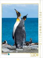 Calvendo Puzzle Penguins Searching For The Sky | 1000 Pieces, Finished Size 25.2