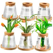 6 Pcs Plants Propagation Station Separated Desktop Plant Terrarium with Wood